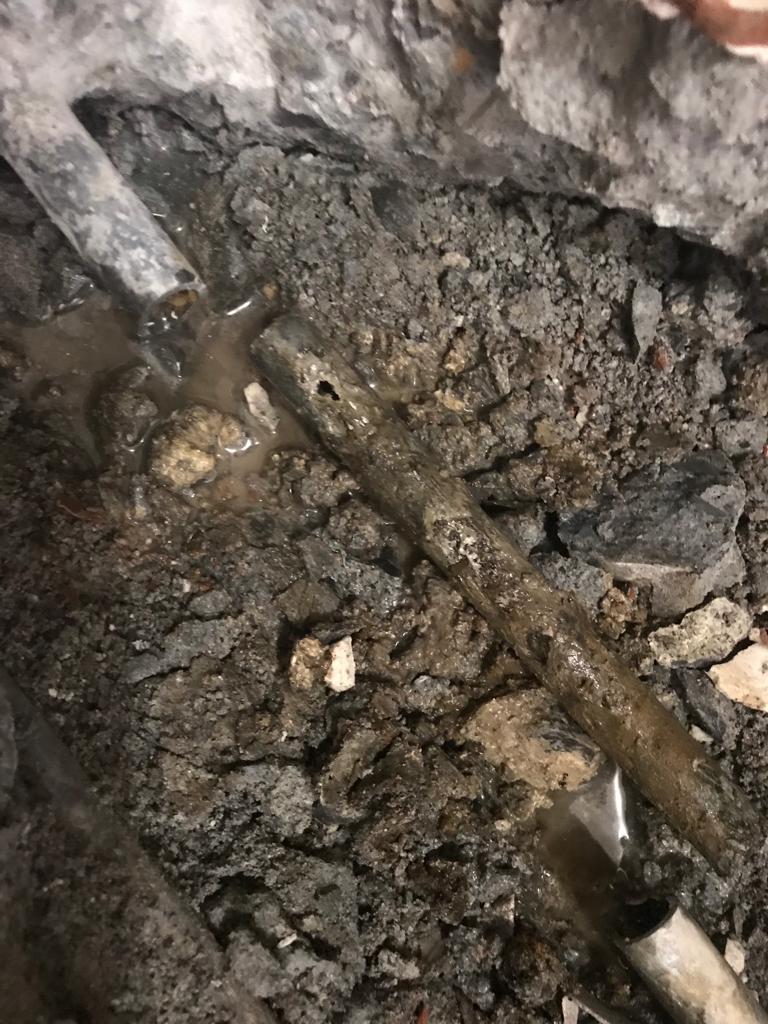 WhatsApp Image 2023-01-03 at 6.51.36 PM (1)