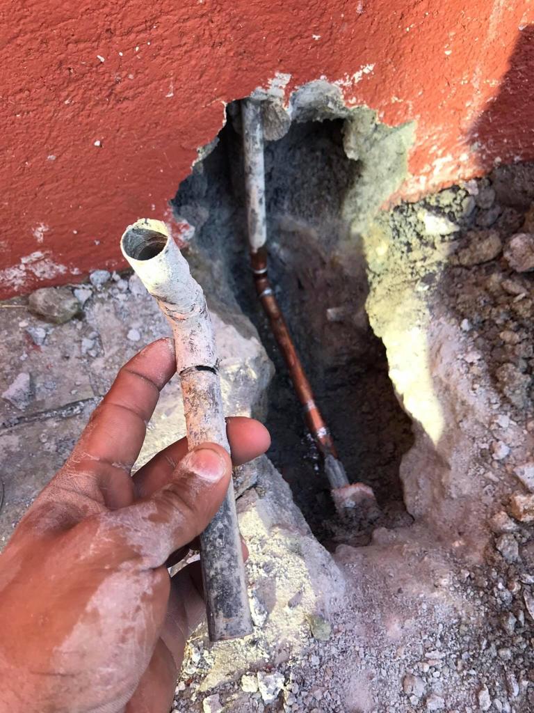 WhatsApp Image 2023-01-03 at 6.59.05 PM (5)